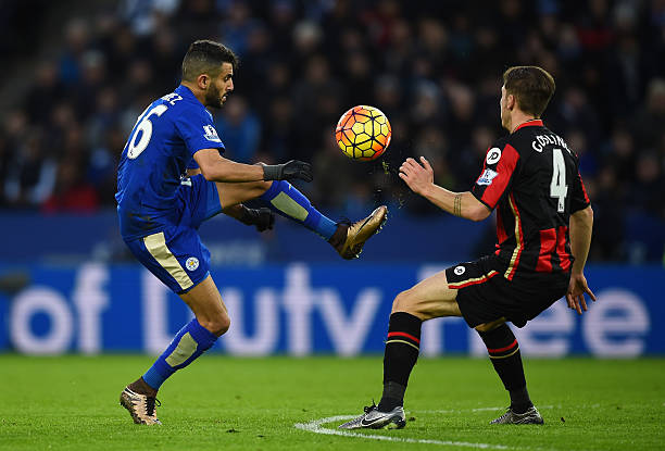 意大利球迷 意大利球迷