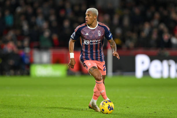 领域的专家 领域的专家